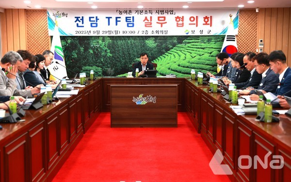 전담 TF팀 실무협의회 장면©보성군