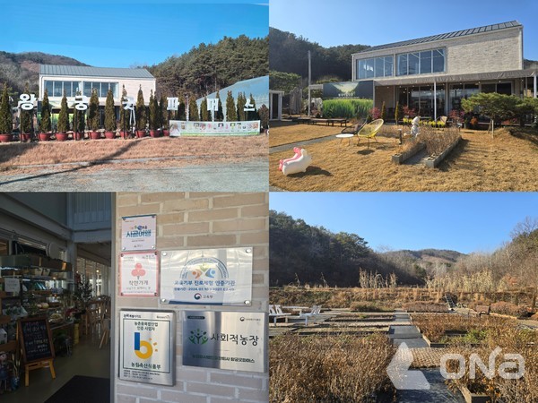 밀새싹힐링팜 왕궁굿파머스는 밀새싹을 활용한 치유 프로그램을 운영하고 있다.©열린뉴스통신ONA 최선혜 기자