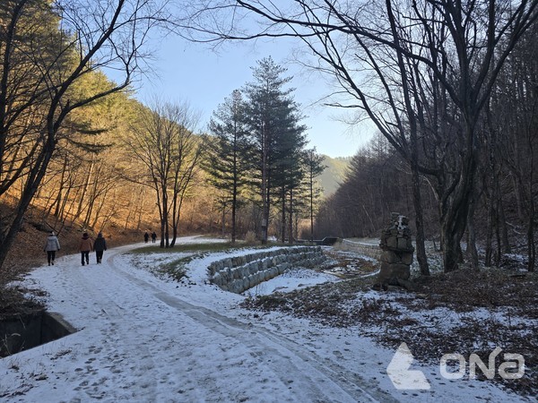 지지리골 도시숲.©열린뉴스통신ONA 최선혜 기자