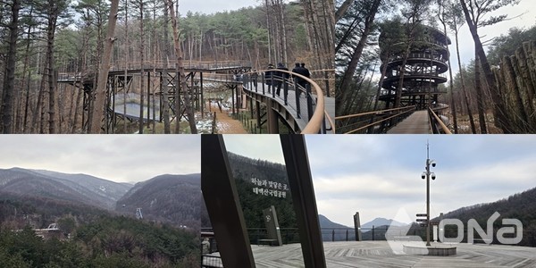 태백산 국립공원의 하늘전망대는 무장애 탐방시설로 조성됐다.©열린뉴스통신ONA 최선혜 기자