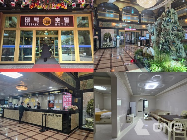 ©열린뉴스통신ONA 최선혜 기자