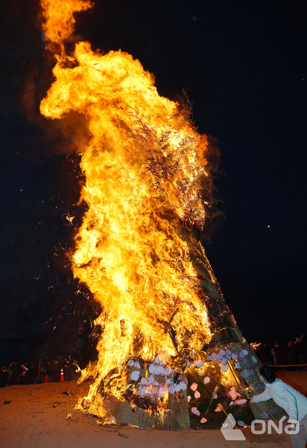 달집 태우기 행사 중 하늘을 향해 포효하며 도약하는 형상이 포착됐다.©보성군
