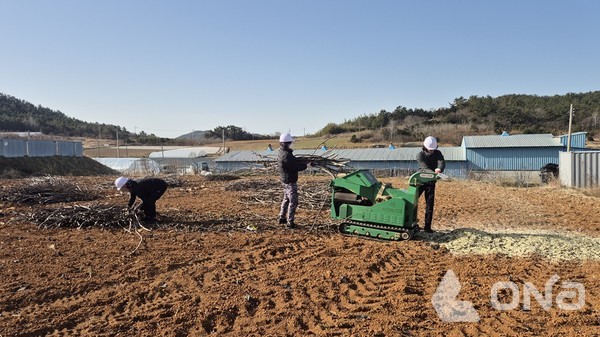 영농부산물 파쇄 장면 사진©신안군