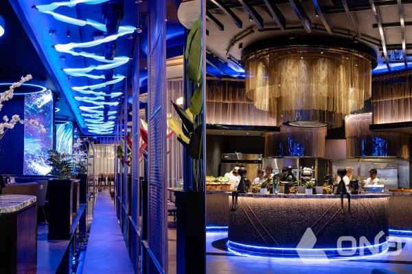 NYX 내부 전경. 푸른빛 조명과 곡선형 동선, 중앙 오픈 키친이 어우러져 밤하늘을 연상시키는 공간감을 강조하고 있다.(제공=바이킹 그룹)