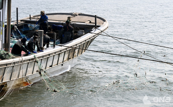 인천 옹진군 연평도 꽃게 조업현장 (제공=인천시) ©열린뉴스통신ONA