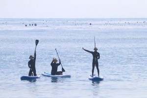 문체부, 웰니스 관광 클러스터 6곳 최종 선정...고부가가치 산업 육성 - 뉴스 썸네일 이미지